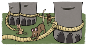 The Mice and the Elephants